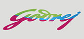 godrej locks